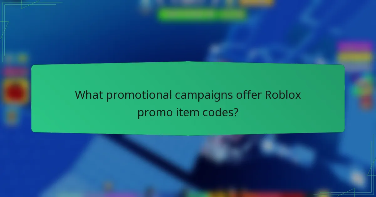 What promotional campaigns offer Roblox promo item codes?